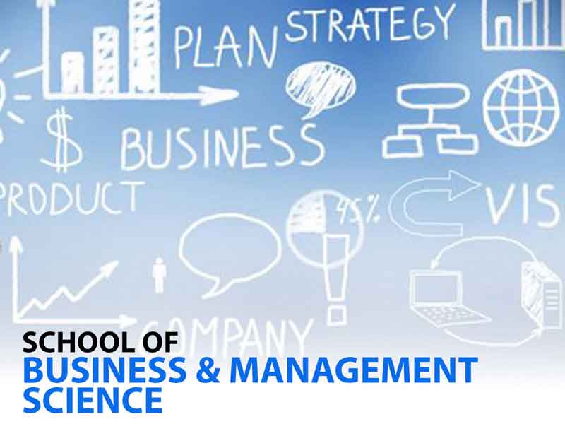 Business & Management Sciences