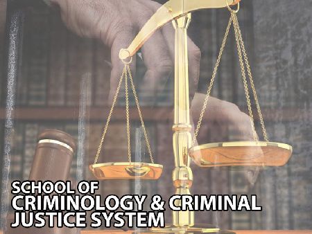 Criminology & Criminal Justice System