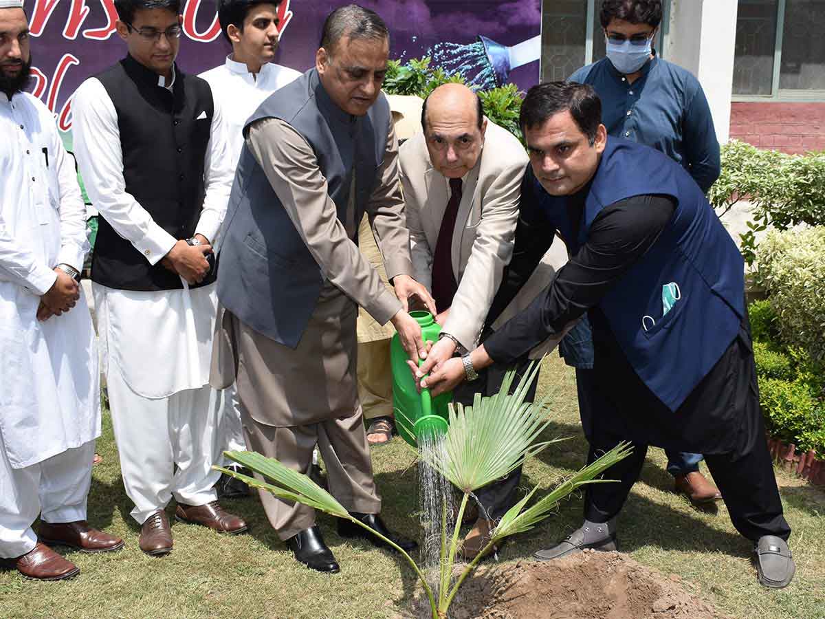 Monsoon Tree Plantation