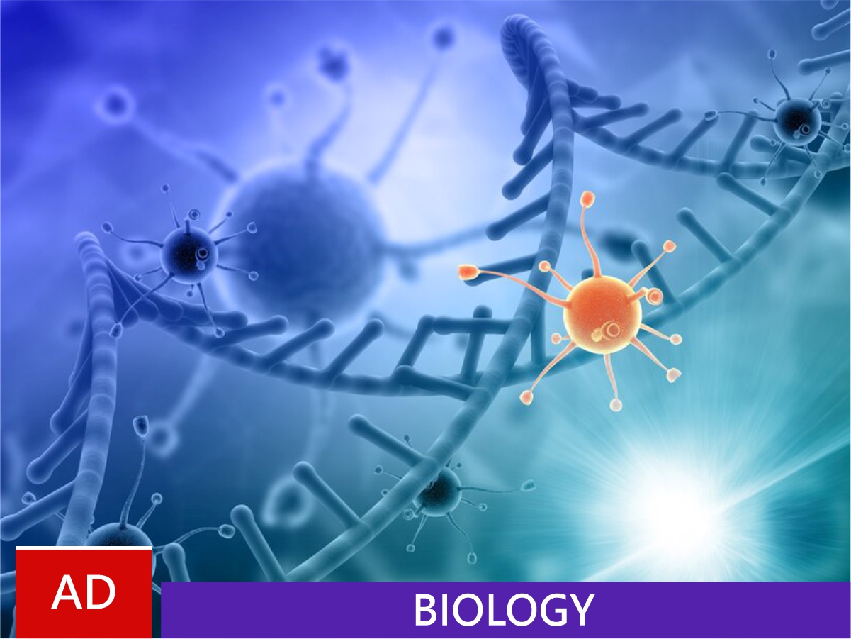 Associate Degree in Biology