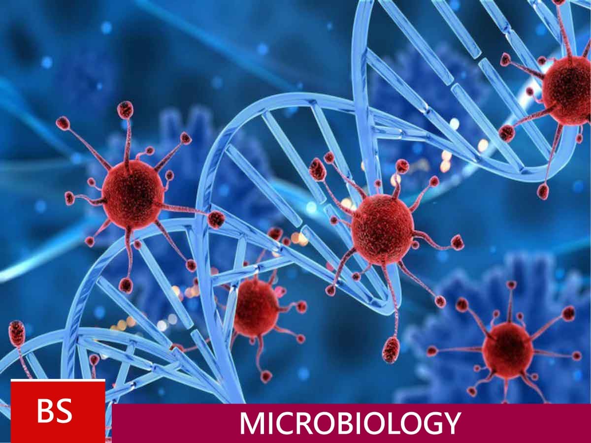 BS Microbiology Minhaj University Lahore